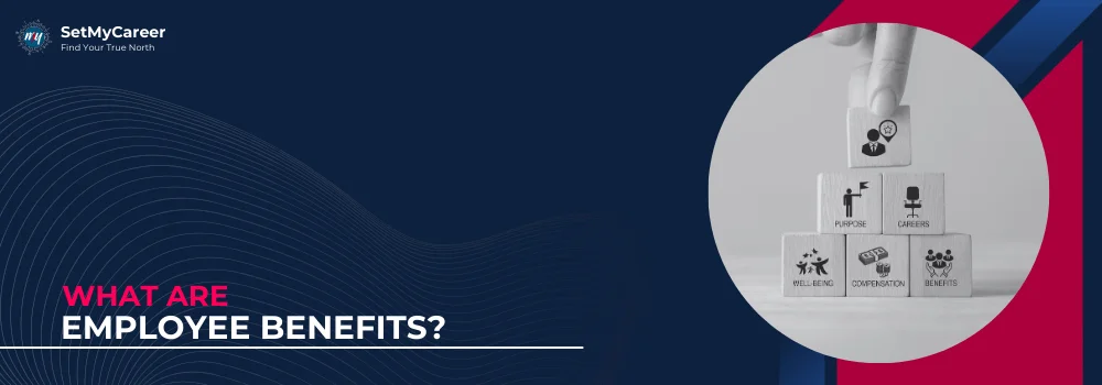 What Are Employee Benefits?