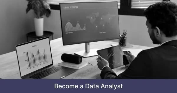 Data Analyst